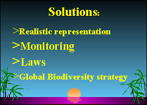 Slide 19