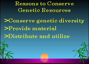 Slide 21