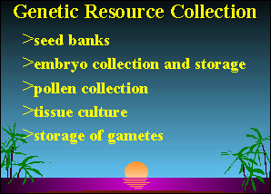 Slide 22