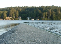 Billings Spit