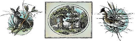 Contrlanimals.gif (30759 bytes)