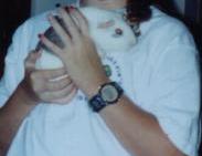 Smallpig.jpg (4707 bytes)