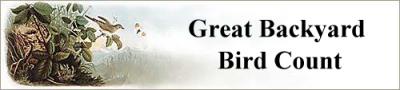 birdbanner.jpg (9636 bytes)