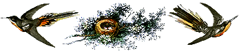 birdcont.gif (11429 bytes)