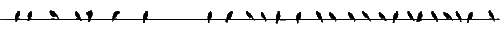 birdrule.gif (1620 bytes)