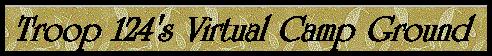 campbanner.jpg (12719 bytes)