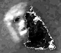 face.gif (11910 bytes)