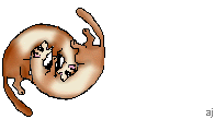 ferretball.gif (5647 bytes)
