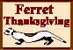 ferretthanksbut.jpg (2887 bytes)