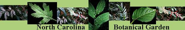gardenbanner.jpg (19567 bytes)