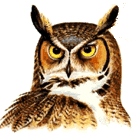 greathorny.gif (12673 bytes)