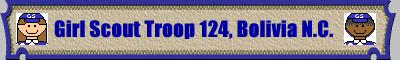 gstroopbannernew.jpg (10214 bytes)