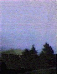 iwantblv.jpg (3893 bytes)