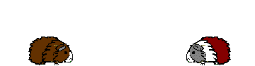 pigline.gif (7639 bytes)