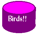 stuff8.gif (1602 bytes)