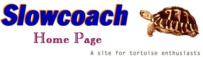 Click here to visit The Slowcoach Homepage