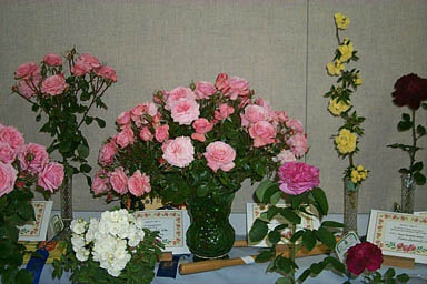 2k5-wilkes-class-9-10-11