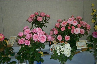 2k7-wilke-cl-9-10-11
