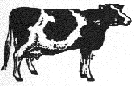 I'm an organic cow!