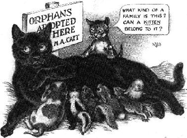 CAT MAMA!