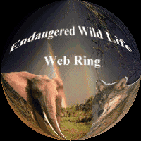 Endangered Wildlife Webring