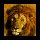 animals11.jpg