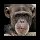 animals3.jpg