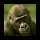 animals8.jpg