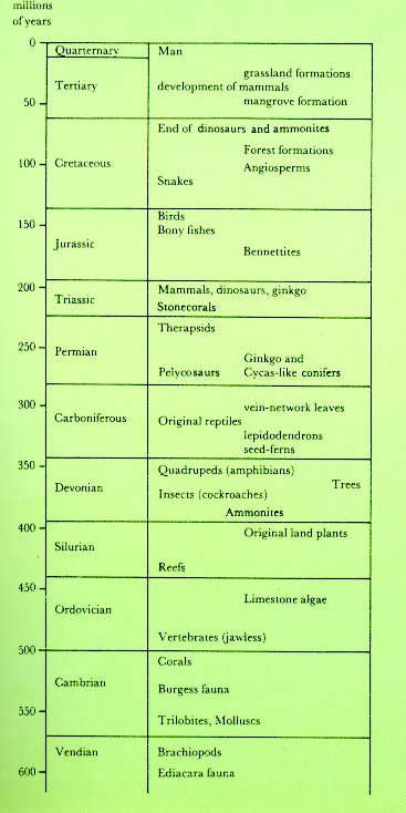 The Table Of Geological Time