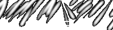 safaripics.gif (5528 bytes)