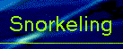 snorkeling.gif (3001 bytes)