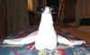 towlswan1.jpg (14276 bytes)
