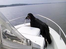 Grady onboard the Boat