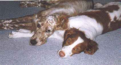 Savannah and Paige
