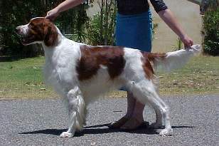 Bennie
