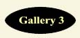 Gallery 3