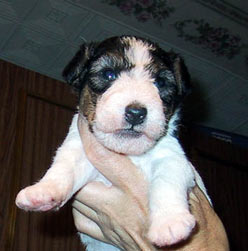 a girl at 22 days