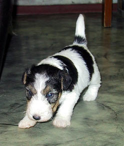 a boy at 24 days