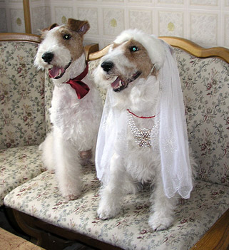 we are happy