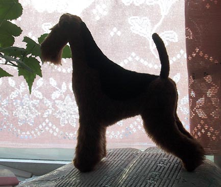 Prize from a  breeder