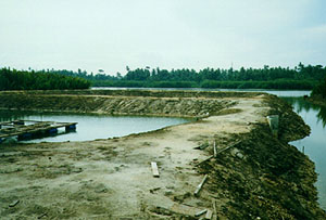 River view