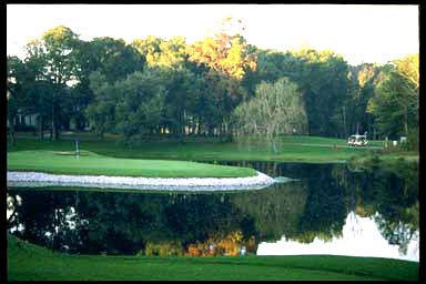 Oyster Bay