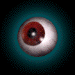 RETINA SCAN