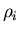 $\rho_i$