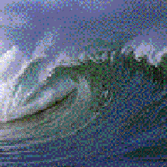 caracol.gif (235718 bytes)