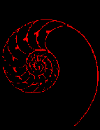 nautilus.gif (2073 bytes)