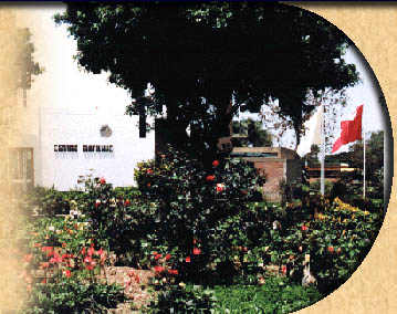 imagmain.jpg (44585 bytes)