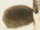 /user/eggbert3.jpg