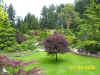 ButchartGardens.jpg (98114 bytes)