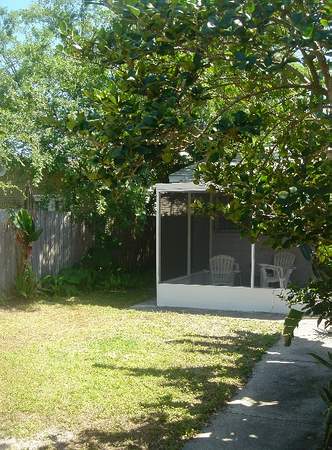 back yard